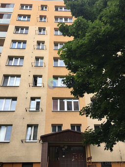 Podnájem bytu 2+1 44 m2, ul. Markova 2925/23, Ostrava - Zábř - 17