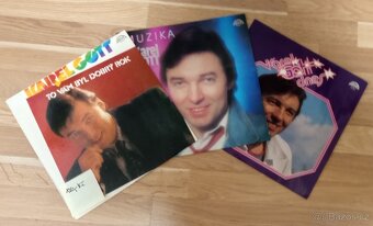 Vinylové desky LP různých interpretů v perfektním stavu - 17
