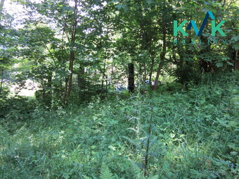 Prodej pozemku o velikosti 3 489 m2, v OV, Tisová u Nejdku - 17
