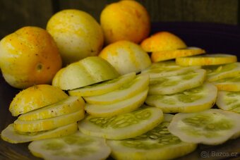 Citronové popínavé mini okurky (10 semen) - 17