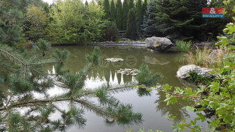 Prodej pozemku k bydlení, 2251 m², Nižbor - 17