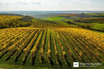Prodej stavebního pozemku v obci Úvaly u Valtic 1448 m2 - 17