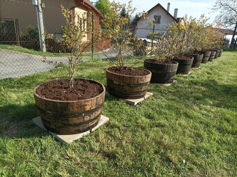 Prodám dřevěné sudy 64l,200l,225l,500l,600l - 17