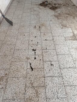 Ford Focus 1.6 tdci 80kw TOP CENA - 17