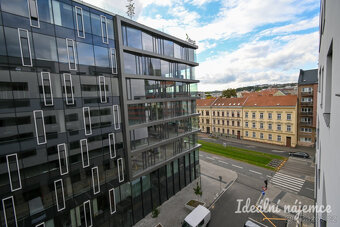 Pronájem bytu 2+kk, Ghegova, Staré Brno, 25000 Kč/měs, 68 m2 - 17