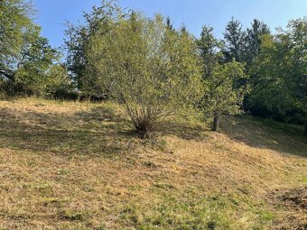 Prodej chalupy, 3+kk, 72 m2, obec Čaková, okr. Bruntál - 17