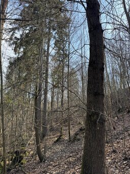 Prodám pozemky v katastrálním území Louňovice pod Blaníkem - 17
