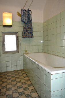 Janov - zemědělská usedlost se stodolou a pozemky 11 612 m2 - 17