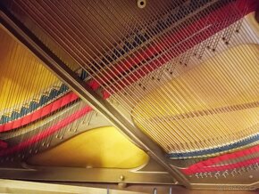 Značkové pianino Schimmel mod.Rococo-Dovoz zdarma - 17