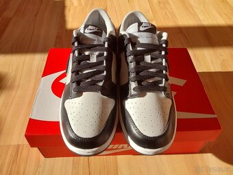 Nike Dunk Chenille - 17
