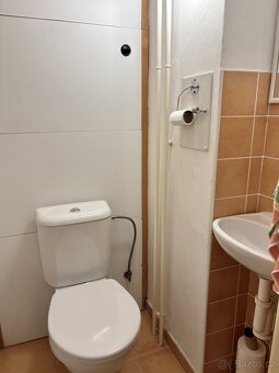 3+1  Opava- klidná ulice, 300m od centra, parkování ve dvoře - 17