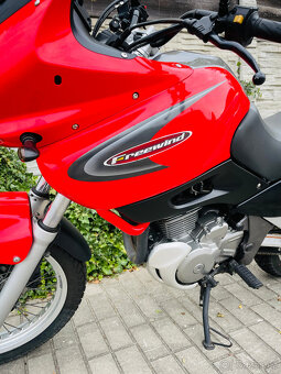 Suzuki XF 650 Freewind r.v.2000 35kW - 17