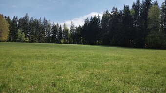 Prodej louky o celkové výměře 23 943 m2 nedaleko Frýdavy - 17