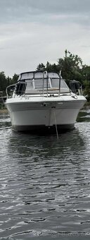 Motorova jachta Sea ray 290 Sundancer - 17