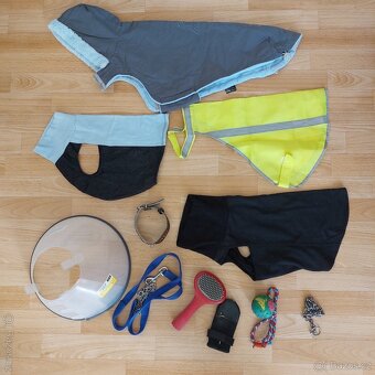 Výbava pro menšího psa (např. pro vipeta) za jednu cenu - 17