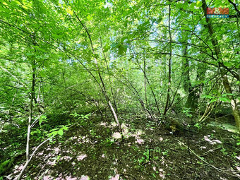 Prodej vodní plochy, 3255 m², Skalice u České Lípy - 17