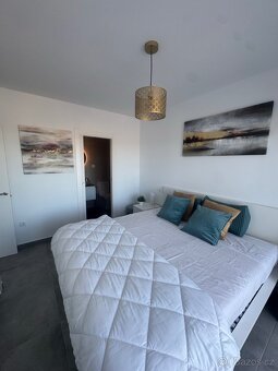 Pronájem apartmánu - 17