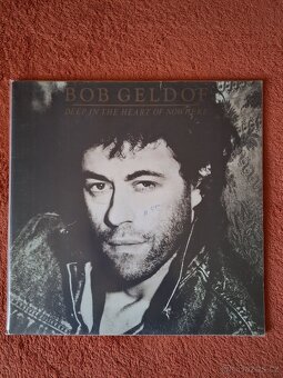 Lp rock - 17