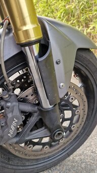 TRIUMPH TIGER 1050 - 17