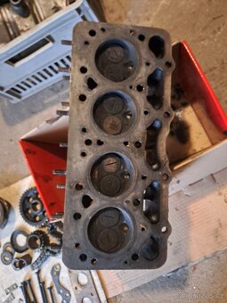 Felicia octavia spartak veterán - 17