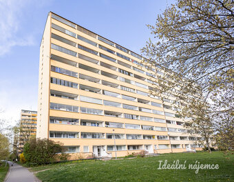 Pronájem bytu 2+kk, Jílovská, Braník, 18000 Kč/měs, 35 m2 - 17