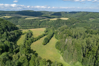 Prodej souboru zemědělských pozemků, 73 836 m², Městečko Trn - 17
