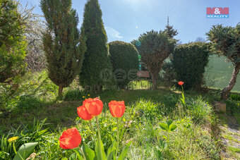 Prodej chaty, 35 m², Cheb-Podhrad - 17