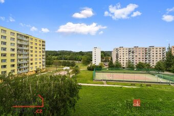 Prodej, byty/4+1, 90 m2, Sněženková 502, Horní Staré Město,  - 17