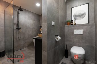 Prodej, byty/4+kk, 100 m2, Těšínská 720/12, Předměstí, 74601 - 17