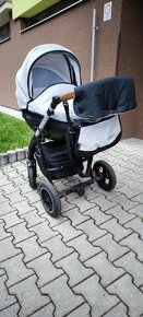 Kočárek Dorjan - 17