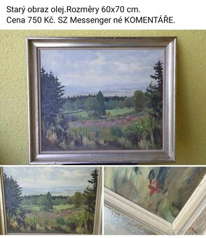 Staré obrazy .Ceny a rozměry viz fota. - 17