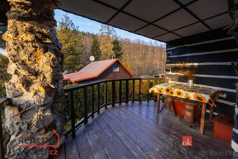 Prodej, domy/chata, 56 m2, 56115 Sopotnice, Ústí nad Orlicí  - 17
