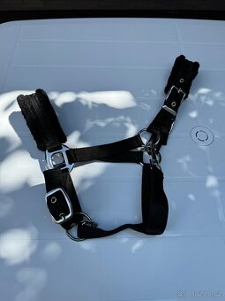 Prodám vybavení na koně - 17