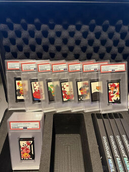 2016 Pokémon Mario Pikachu Luigi Hanafuda Plně sekvenční sad - 17