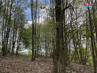 Prodej zahrady, 2545 m², Chrastava, Andělská Hora - 17