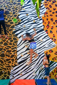 Na zimu do Karibiku,apartman u vody, Yucatan, cesky majitel - 17