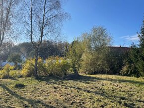 Prodám st. parcelu 2012 m2 ve Vydří u JH - 17