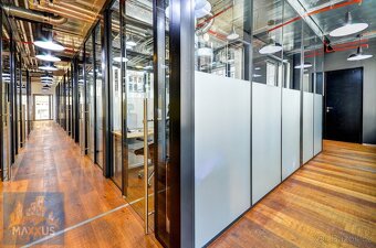 Pronájem reprezentativních kanceláří, Václavské náměstí, Pra - 17