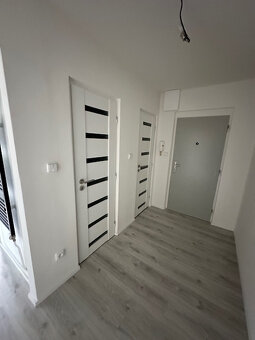 Byt 2+1 Zábřeh na Moravě - 17