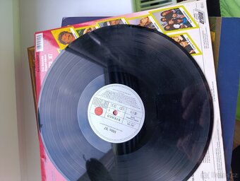 Staré nepoškozené vinylové desky - 17