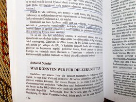 Češi a Němci 150 let po Bolzanovi (rozfocneo 17x) - 17