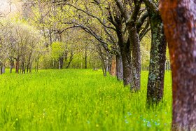 Prodej stavební parcely 2072 m2 Starý Hrozenkov - 17