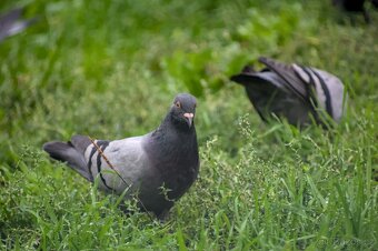 Canon EOS 300D - 17