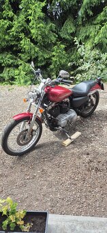 Harley Davidson 883 Sportster 2005 - 17