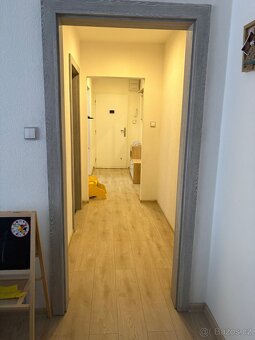 Dlouhodobý pronájem bytu 4+1 Břidličná - 17