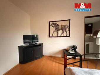 Pronájem penzionu, 636 m², Vilémov, okr. Děčín - 17
