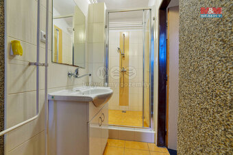 Prodej rodinného domu, 590 m², Luby, ul. Kraslická - 17