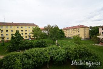Pronájem bytu 2+1, Jindřichova, Žabovřesky, 18000 Kč/měs, 61 - 17