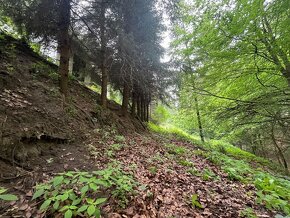 Prodej chalupy -  Podhora u Pěnčína - 17