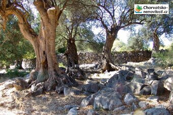 Prodej, byt 2+kk, 70 m, , Česko - 17